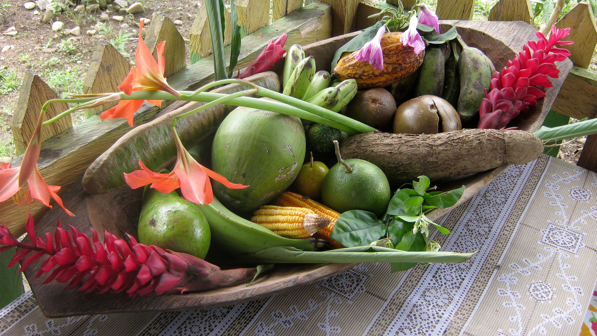 cocomasur-productos-de-la-tierra-penaloza
